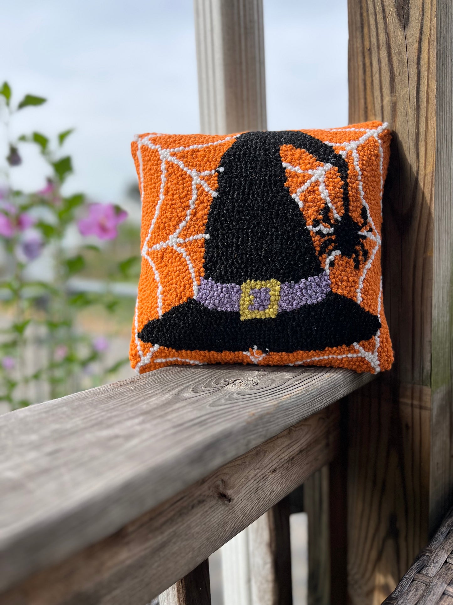 Witch Hat in Web Hook Pillow